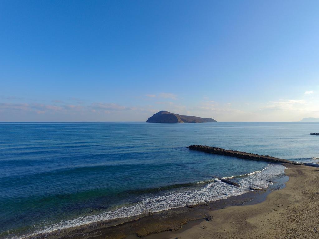 Alexia Beach Hotel Agia Marina エクステリア 写真